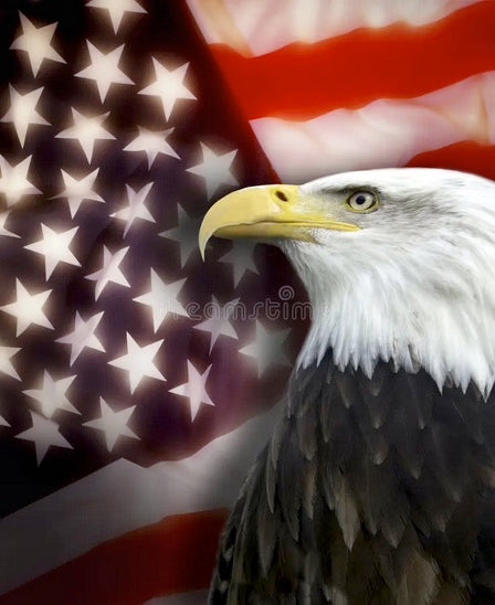 Striking Eagle Feathers And Eagle Claw Necklace