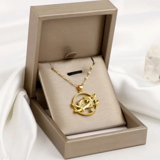 Elegant Save the Dolphin 18K Gold-Plated Titanium Necklace with CZ