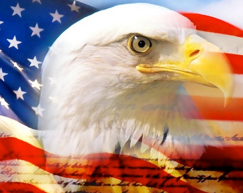 20 Inch Cuban Link Chain with American Flag and Eagle CZ Pendant