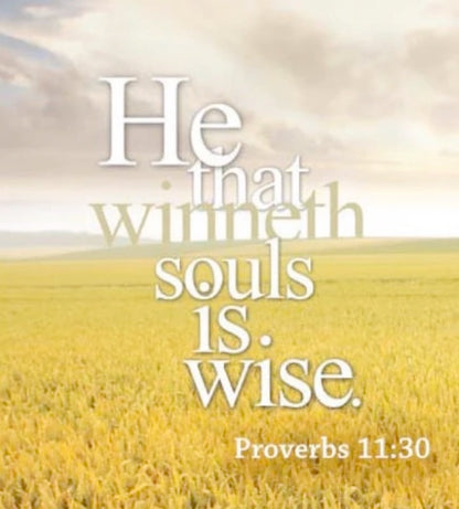 Holy Land Jerusalem Olive Wood Bead And Jerusalem Cross Stretch Bracelet